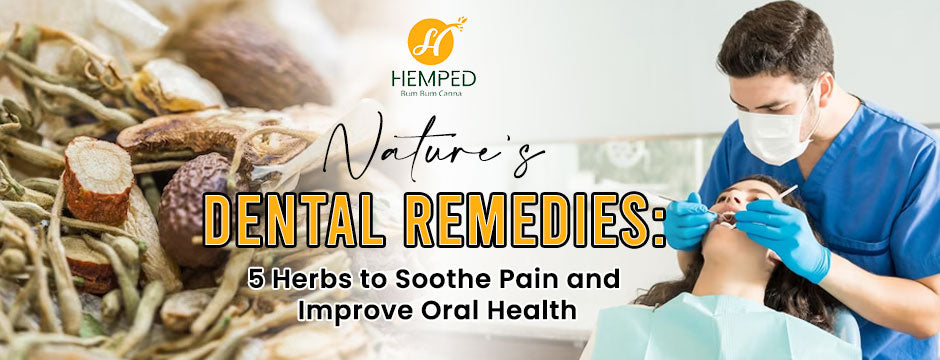 Nature’s Dental Remedies: 5 Herbs To Soothe Pain And Improve Oral Health
