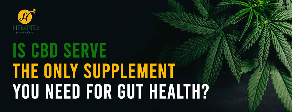 Is CBD Oil The Only Supplement You Need for Gut Health?