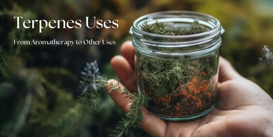 Terpenes, the aromatic compounds of plants