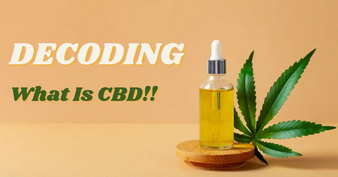 Decoding CBD: What Is CBD, Full Form, Benefits, And Medical Abbreviation. - Urhemped