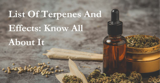 List Of Terpenes And Effects: Know All About It - Urhemped