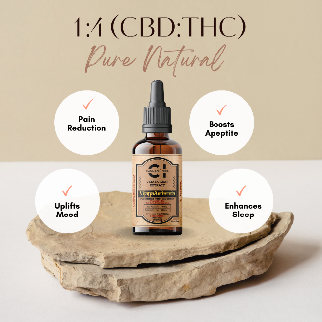 Cannazo - Vijaya Ambrosia – 30ml