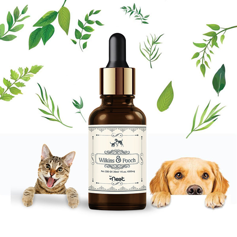 Wilkins & Pooch by Neet Pet 1000mg cbd oil Vijaya Pet CBD concept image with cat and dog with bottle