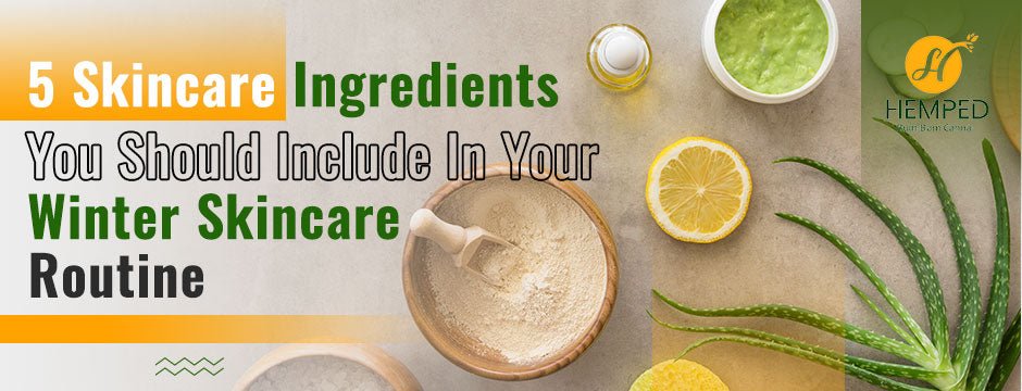 5 Skincare Ingredients You Should Include In Your Winter Skincare Routine - Urhemped