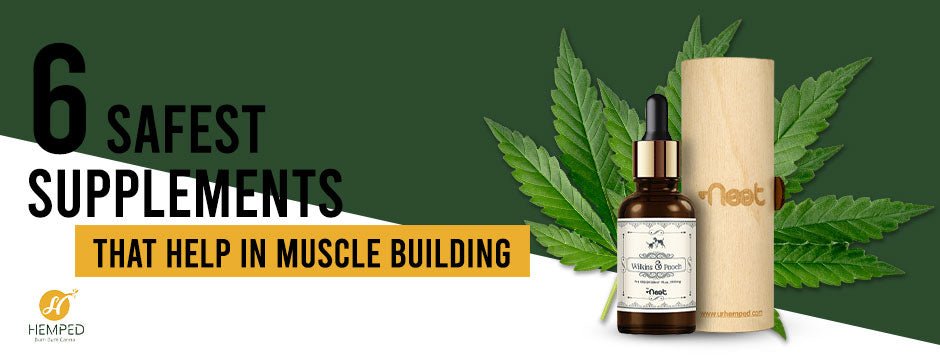 6 Safest Supplements That Help in Muscle Building - Urhemped
