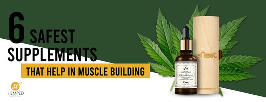 6 Safest Supplements That Help in Muscle Building - Urhemped