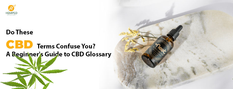 Do These CBD Terms Confuse You? A Beginner's Guide to CBD Glossary