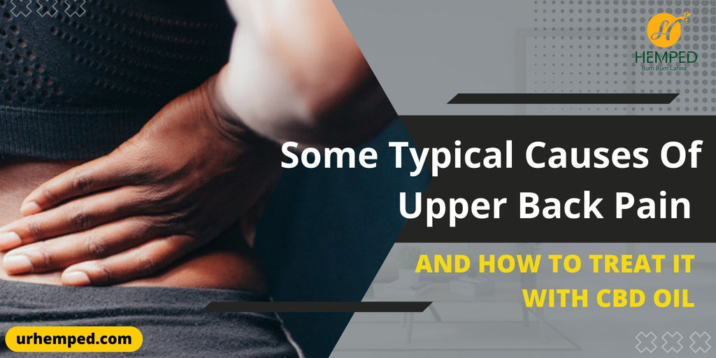 Some Typical Causes Of Upper Back Pain And How To Treat It With CBD Oil