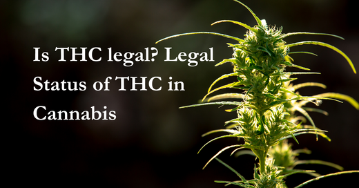 Is THC legal? Legal Status of THC in Cannabis