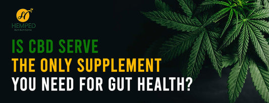 Is CBD Oil The Only Supplement You Need for Gut Health?