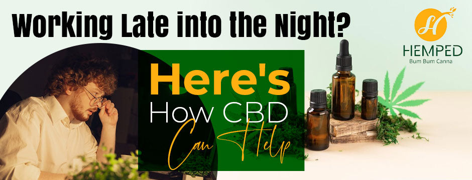 Working Late into the Night? Here's How CBD Can Help