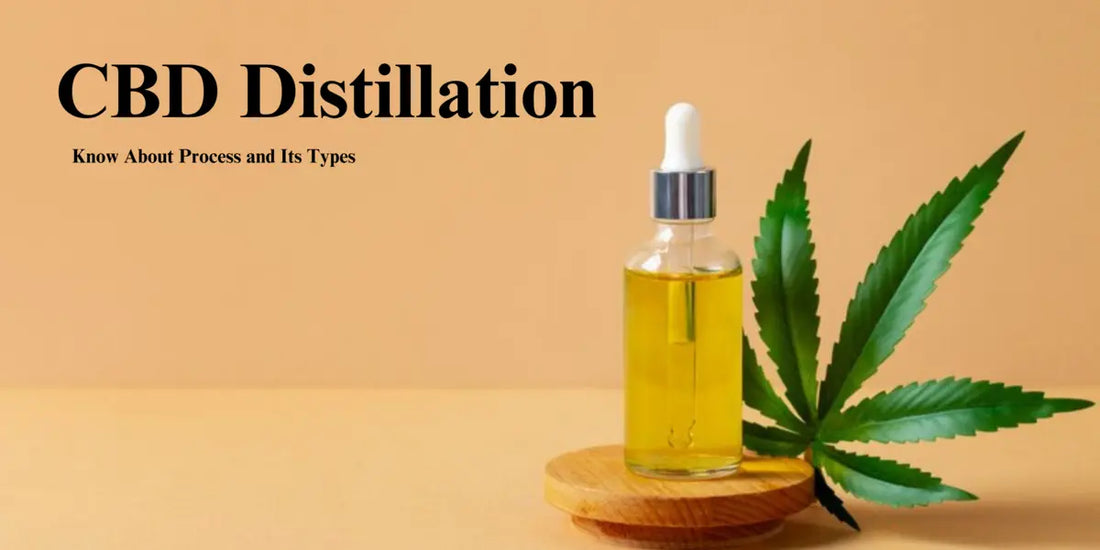 CBD distillation is the purification of crude CBD oil 
