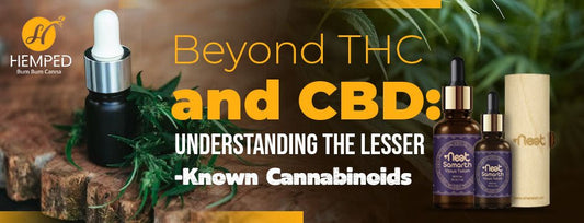 Beyond THC And CBD: Understanding The Lesser-Known Cannabinoids - Urhemped