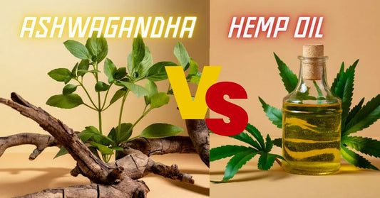 Bud to Bud Combat: Ashwagandha vs. Hemp Oil—Let the Herbal Games Begin! - Urhemped