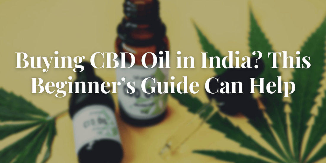 Buying CBD Oil in India? This Beginner’s Guide Can Help - Urhemped