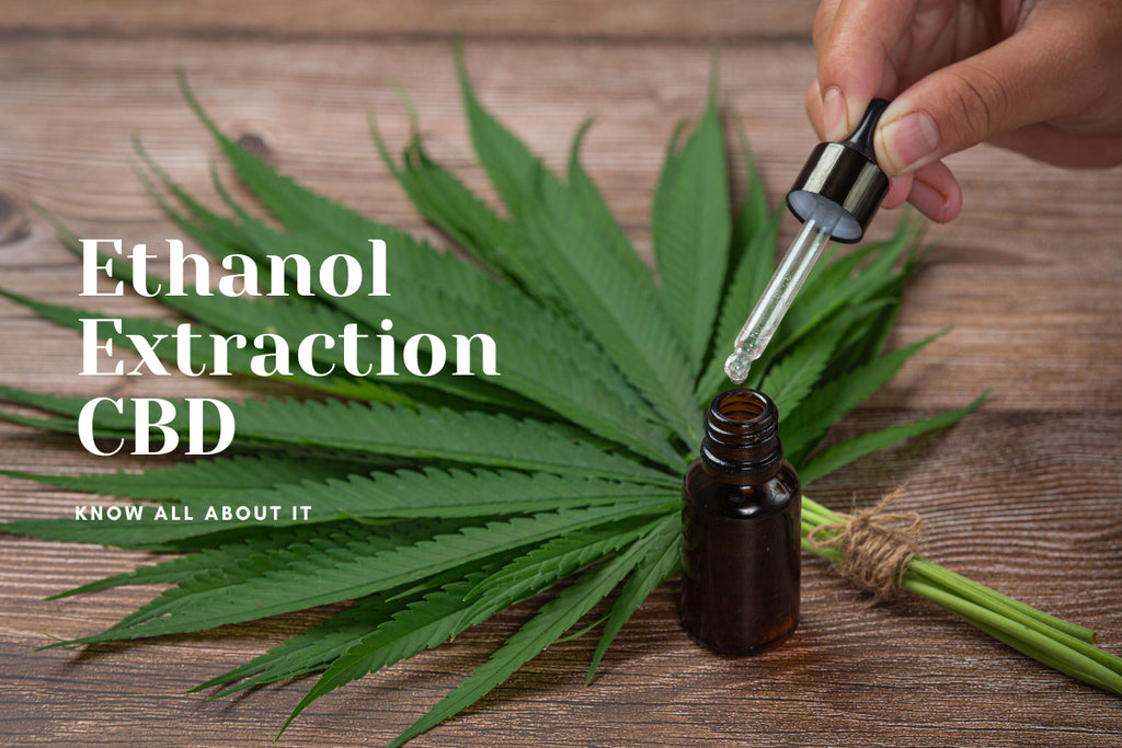 Ethanol Extraction CBD:  Know All About It