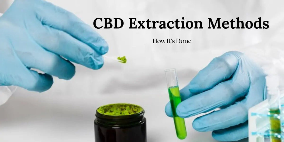 CBD Extraction Methods: How It’s Done - Urhemped