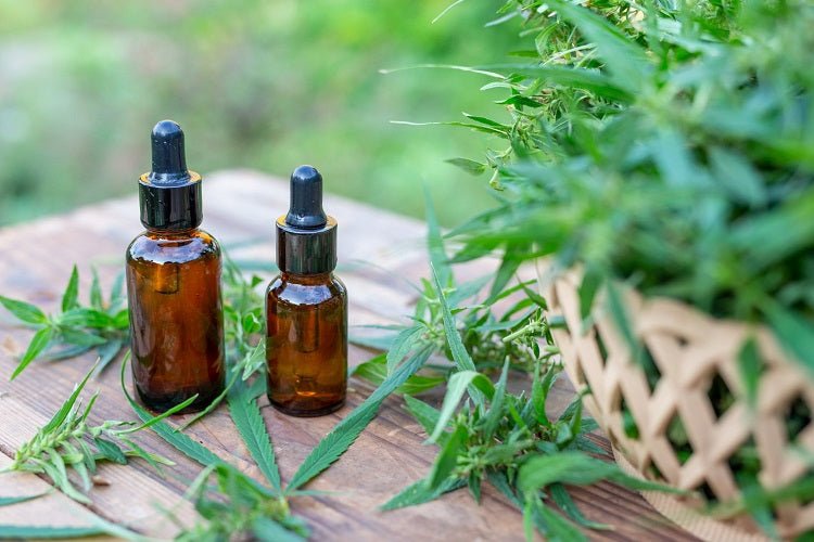 CBD FACIAL & HAIR OIL COSMETIC USES AND BENEFITS - Urhemped