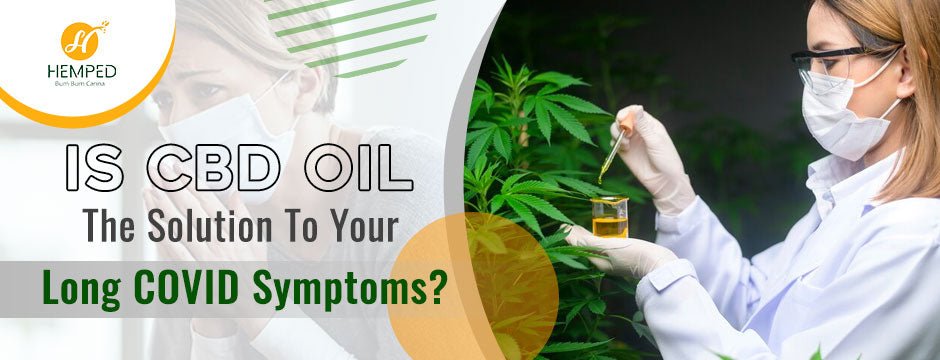 CBD For Energy: Is CBD Oil The Solution To Your Long COVID Symptoms? - Urhemped