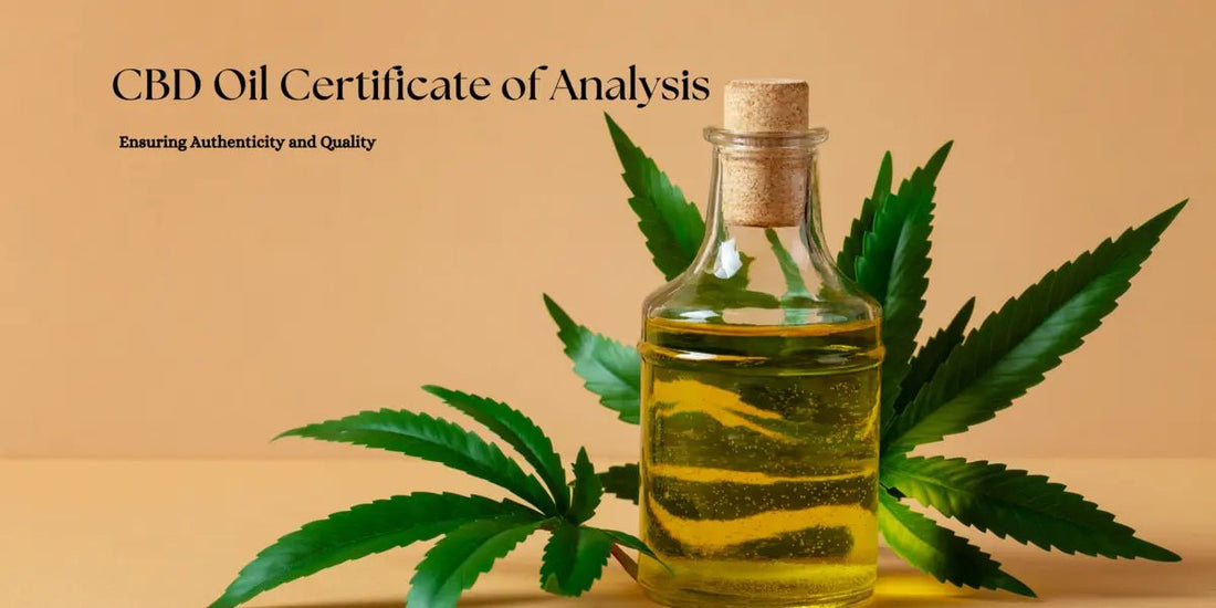 CBD Oil Certificate of Analysis: Ensuring Authenticity and Quality - Urhemped