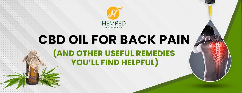 CBD Oil For Back Pain ( And Other Useful Remedies You’ll Find Helpful) - Urhemped