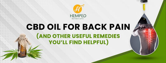 CBD Oil For Back Pain ( And Other Useful Remedies You’ll Find Helpful) - Urhemped