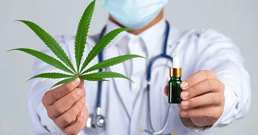 CBD Vs THC: A Comprehensive Comparison - Urhemped