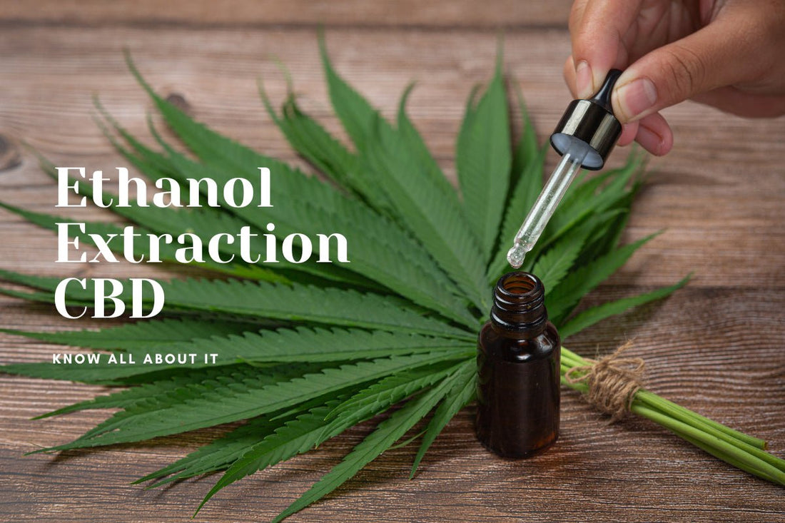 Ethanol Extraction CBD:  Know All About It - Urhemped