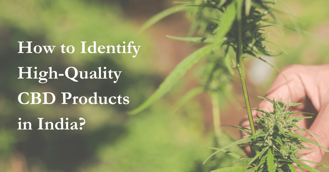 How to Identify High-Quality CBD Products in India? - Urhemped