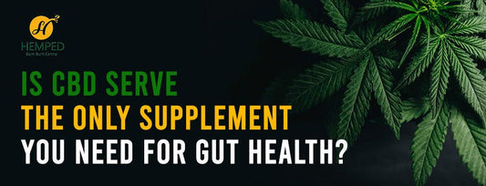 Is CBD Oil The Only Supplement You Need for Gut Health? - Urhemped