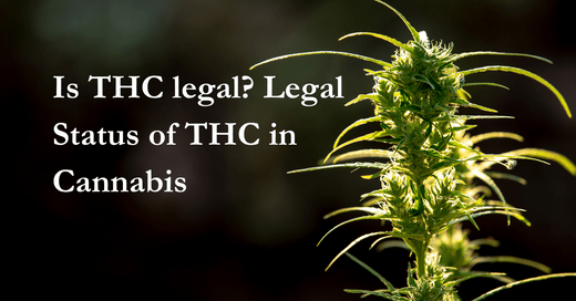 Is THC legal? Legal Status of THC in Cannabis - Urhemped