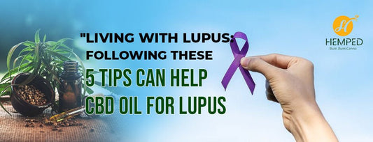 Living With Lupus: Following These 5 Tips Can Help - Urhemped