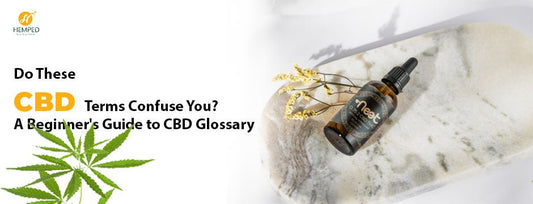 Navigating the CBD World: Understanding Hemp Full Spectrum and Other Key Terms - Urhemped