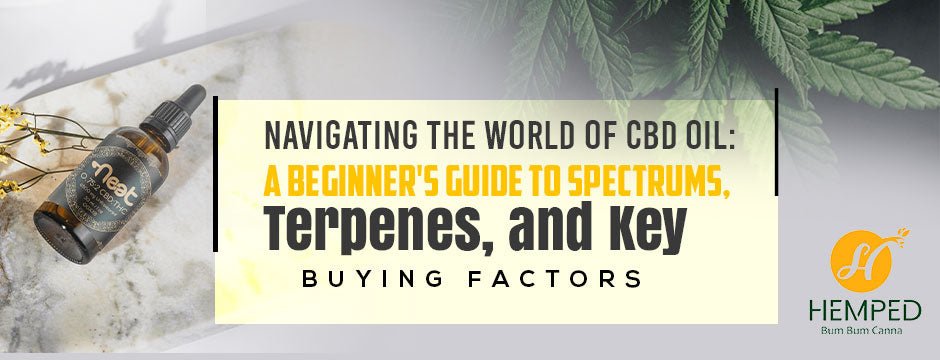 Navigating The World Of CBD Oil: A Beginner’s Guide To Spectrums, Terpenes, And Key Buying Factors - Urhemped