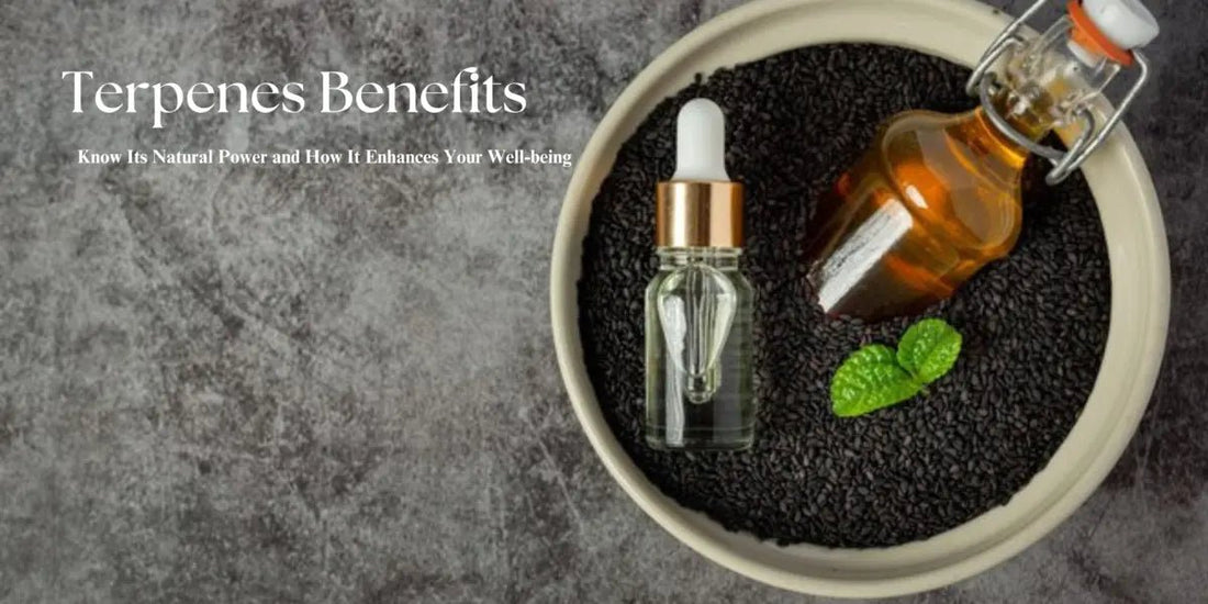 Terpenes Benefits: Know Its Natural Power and How It Enhances Your Well-being - Urhemped
