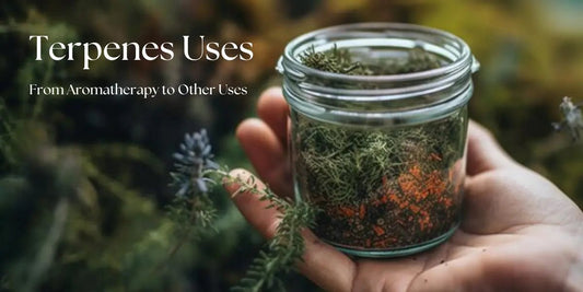 Terpenes Uses: From Aromatherapy to Other Uses - Urhemped