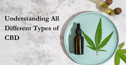 Understanding All Different Types Of CBD - Urhemped