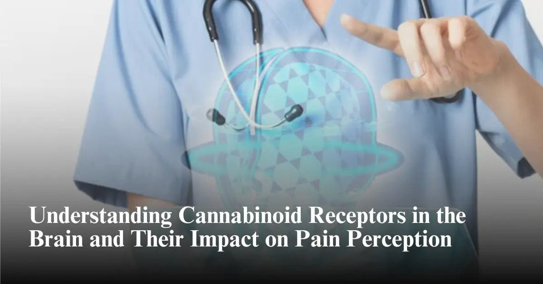 Understanding Cannabinoid Receptors in the Brain and Their Impact on Pain Perception - Urhemped