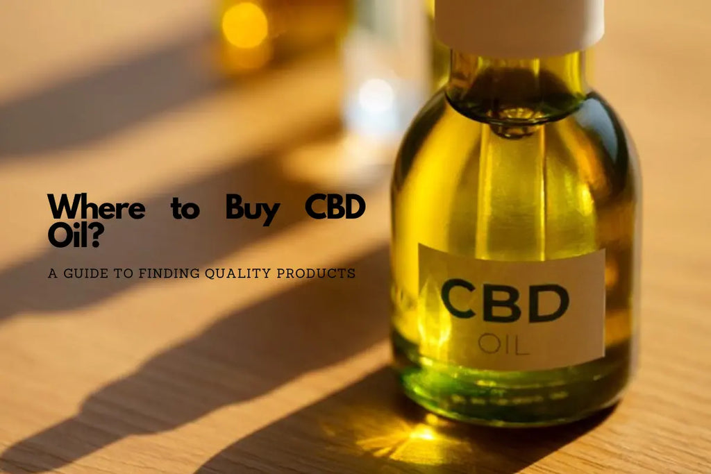 Where to Buy CBD Oil: A Guide to Finding Quality Products