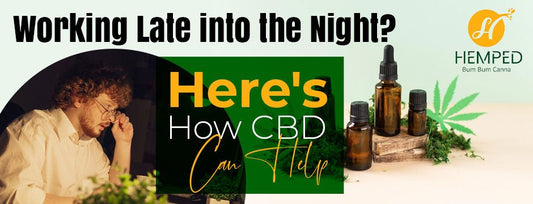 Working Late into the Night? Here's How CBD Can Help - Urhemped