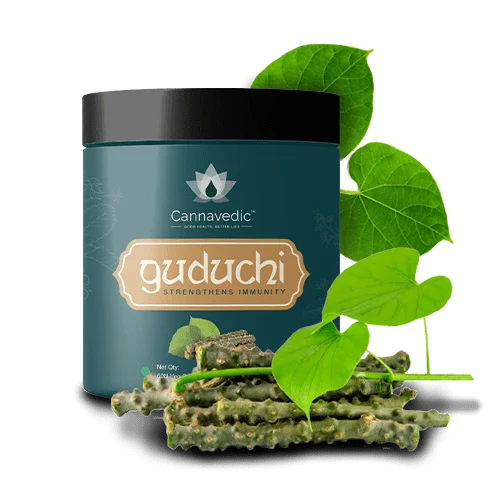 Cannavedic - Guduchi Capsules – Immunity booster(60 capsules)