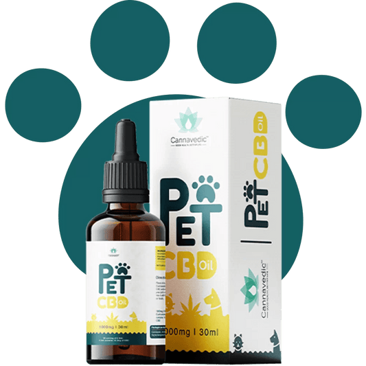 Cannavedic - Pet CBD oil, 1000mg | 30ml - Urhemped