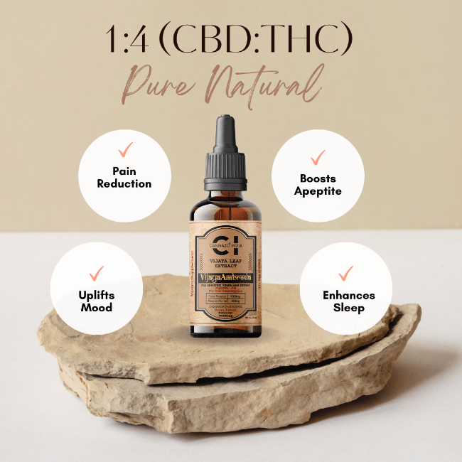 Cannazo - Vijaya Ambrosia – 30ml - Urhemped