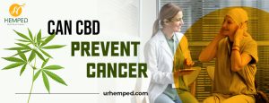 cbd for cancer